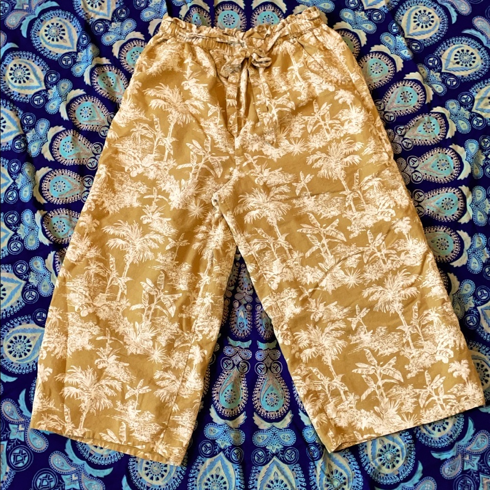 American eagle beach island print tie pants